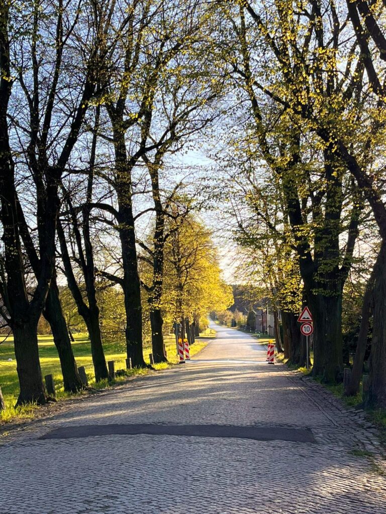 Eine Allee mit Kopfsteinpflaster im alten Dorfkern von Klein Bademeusel.